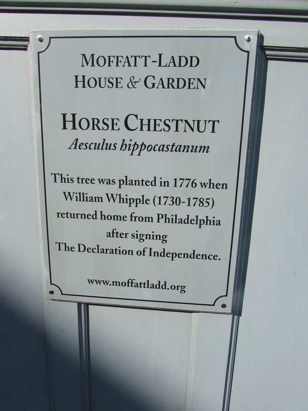 Horse Chestnut Marker image. Click for full size.
