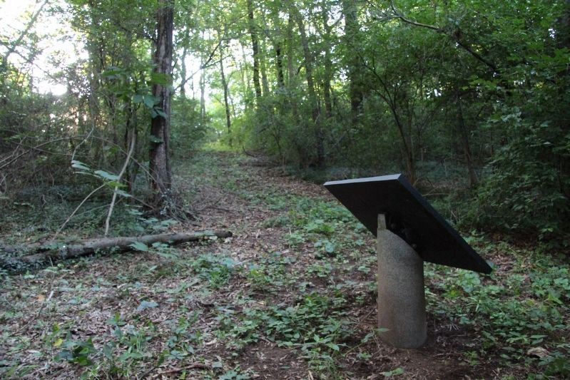 37th Ohio Infantry Marker. Click for full size. 37th Ohio Infantry Marker image. Click for full size.