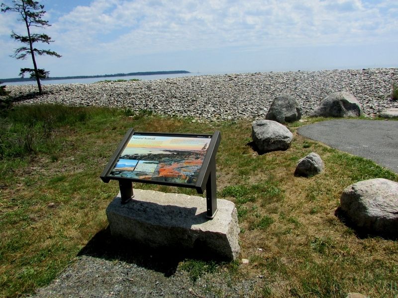 Natural Seawall Marker image. Click for full size.