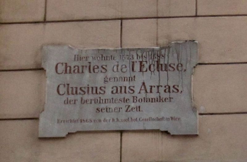 Charles de L'Ecluse (Clusius) Marker. Click for full size. Charles de L'Ecluse (Clusius) Marker image. Click for full size.