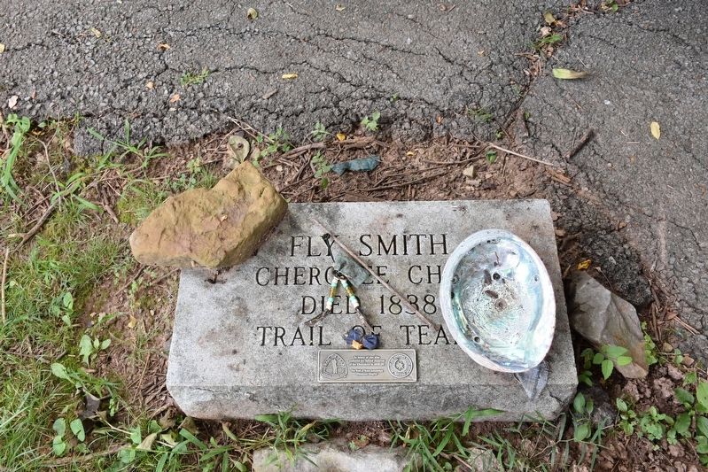 Grave site of Chief Fly Smith image. Click for full size.