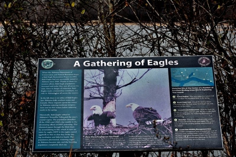 A Gathering of Eagles Marker image. Click for full size.