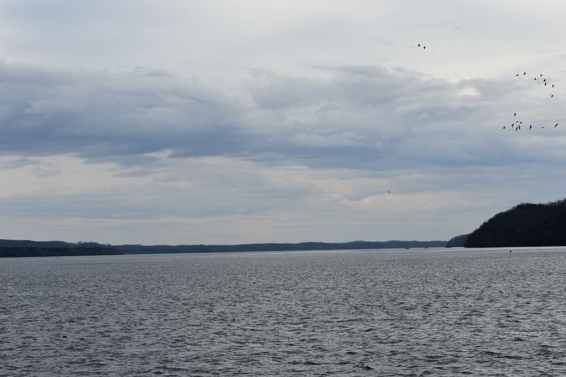 Tennessee River at Waterloo image. Click for full size.