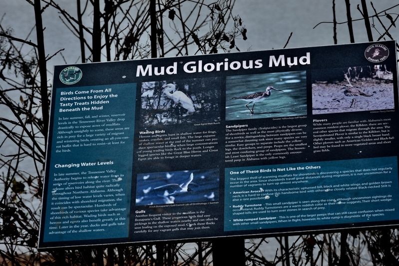 Mud Glorious Mud Marker image. Click for full size.