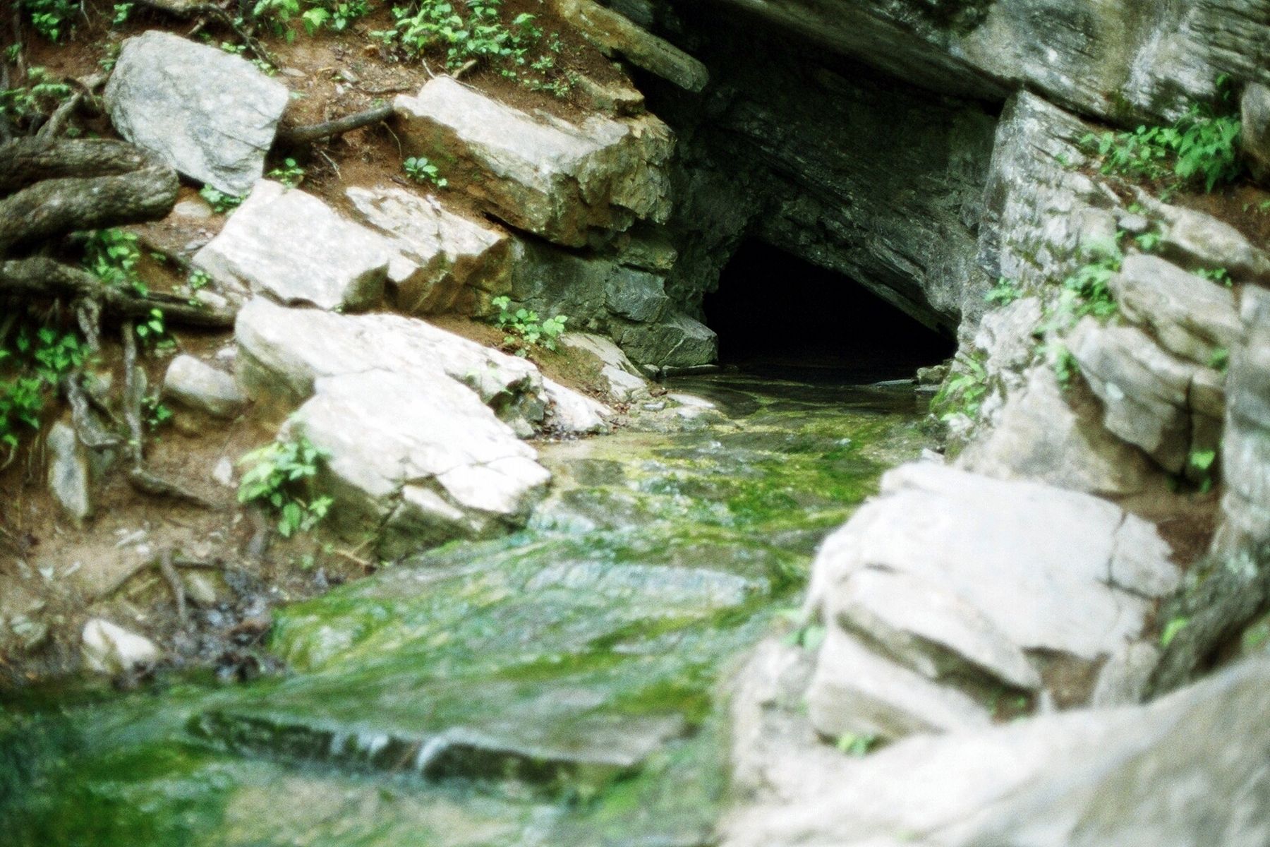 Lost River emerging from the opening.. Click for full size. Lost River emerging from the opening. image. Click for full size.