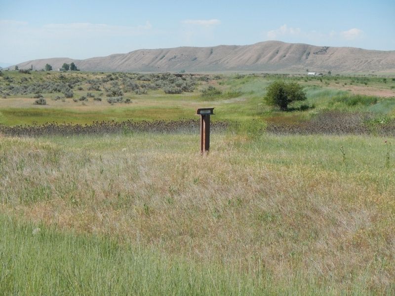 Bidwell/Bartleson Trail - Small Brook Marker. Click for full size. Bidwell/Bartleson Trail - Small Brook Marker image. Click for full size.