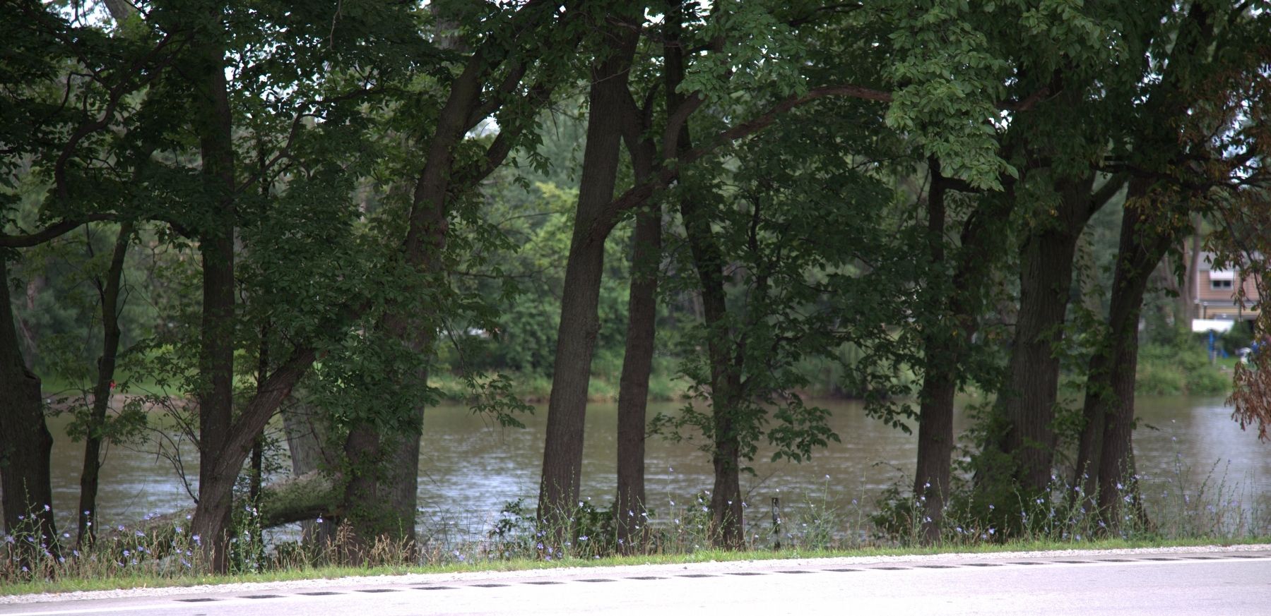 View of the Kankakee River across the road from the marker image. Click for full size.