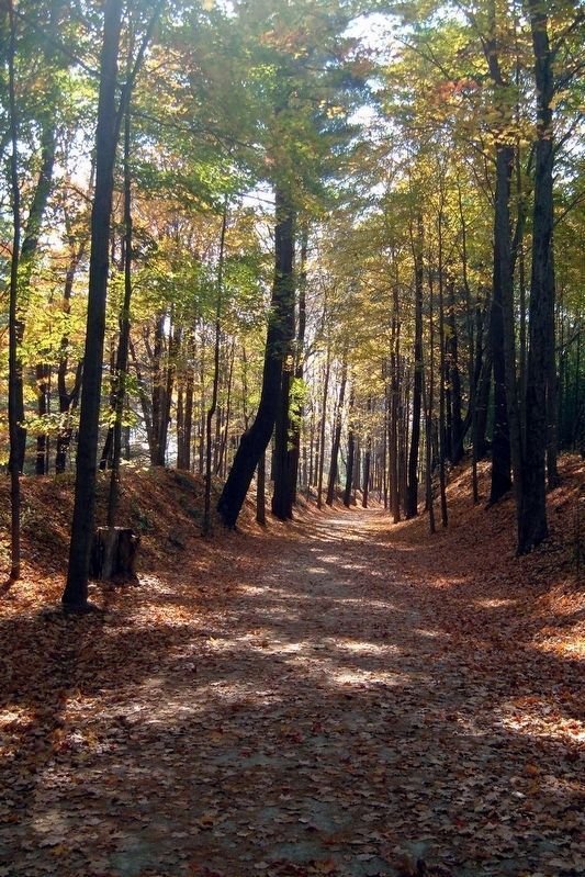 A section of the Grand Trunk Trail. Click for full size. A section of the Grand Trunk Trail image. Click for full size.