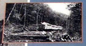 Insert 2 - A logging camp on wheels image. Click for full size.