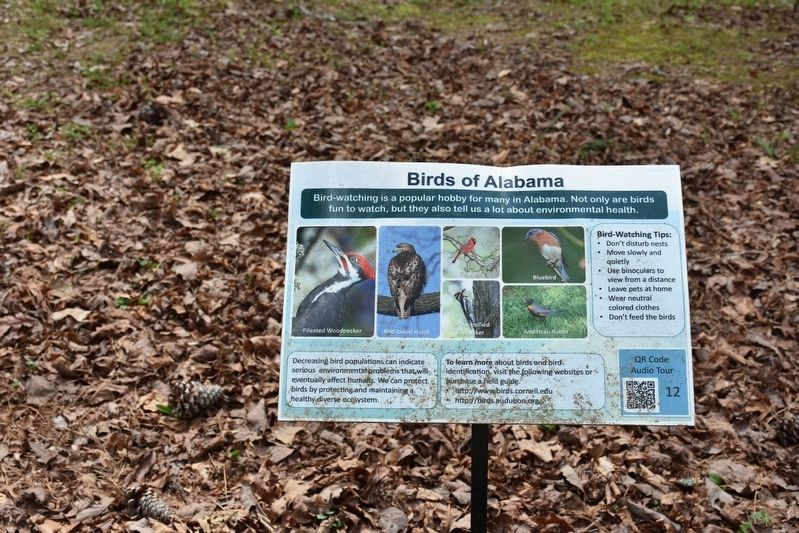 Birds of Alabama Marker image. Click for full size.