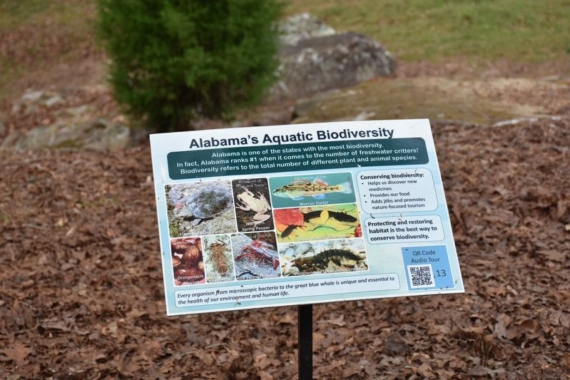 Alabama's Aquatic Biodiversity Marker image. Click for full size.