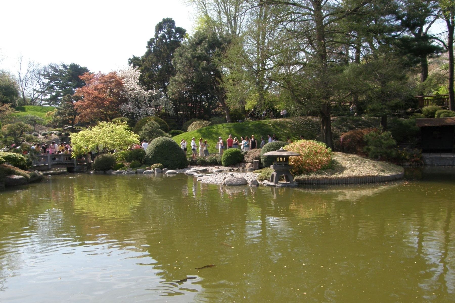 The Japanese Hill-and-Pond Garden image. Click for full size.