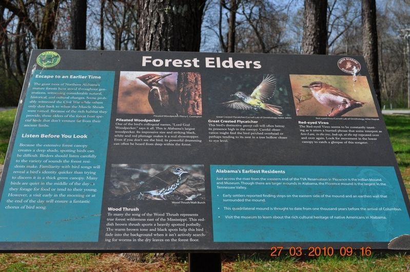 Forest Elders Marker image. Click for full size.