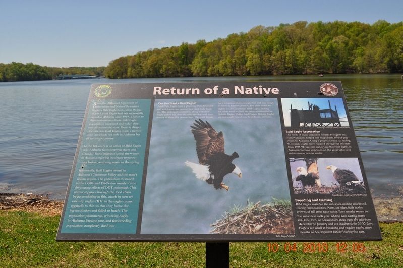Return of a Native Marker image. Click for full size.
