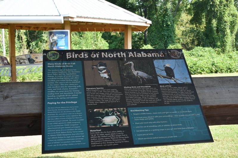 Birds of North Alabama Marker. Click for full size. Birds of North Alabama Marker image. Click for full size.