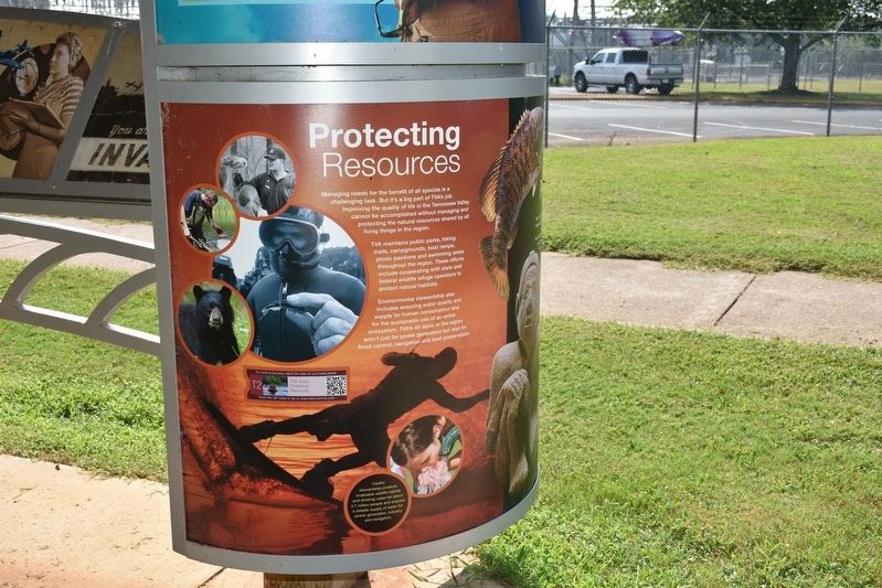 Natural and Cultural Preservation/Protecting Resources Marker image. Click for full size.