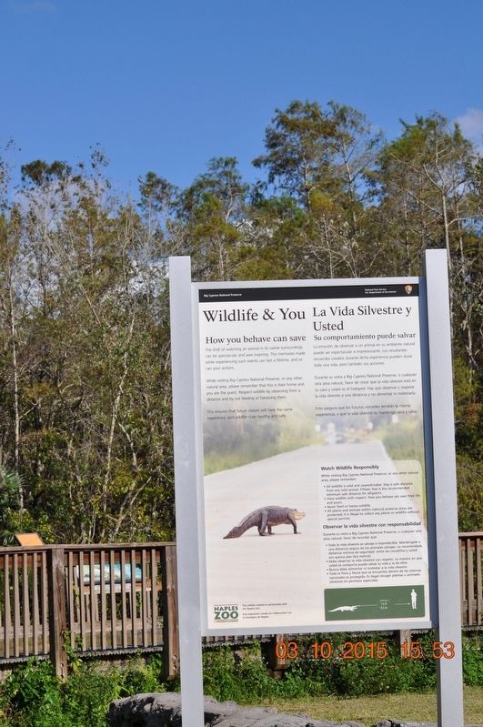 Wildlife & You
Marker. Click for full size. Wildlife & You
Marker image. Click for full size.
