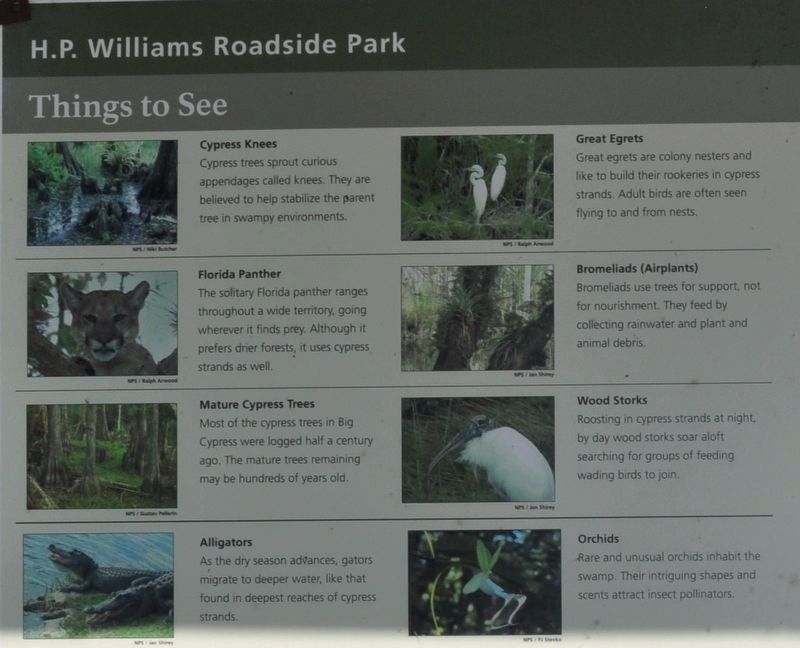 H. P. Williams Roadside Park Marker image. Click for full size.