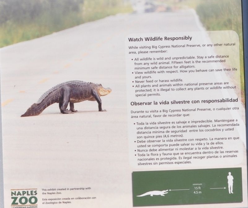 Watch Wildlife Responsibly. Click for full size. Watch Wildlife Responsibly image. Click for full size.