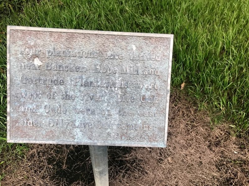Bancker Plantations Marker. Click for full size. Bancker Plantations Marker image. Click for full size.