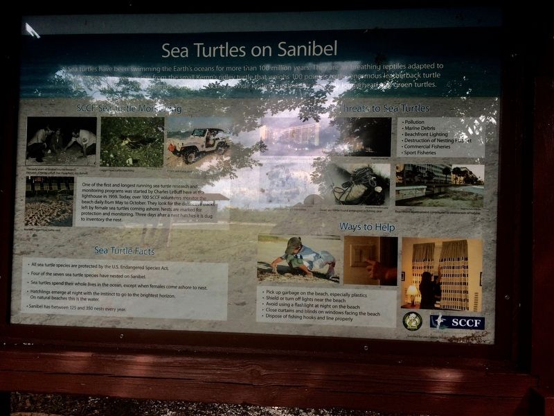 Sea Turtles on Sanibel Marker. Click for full size. Sea Turtles on Sanibel Marker image. Click for full size.