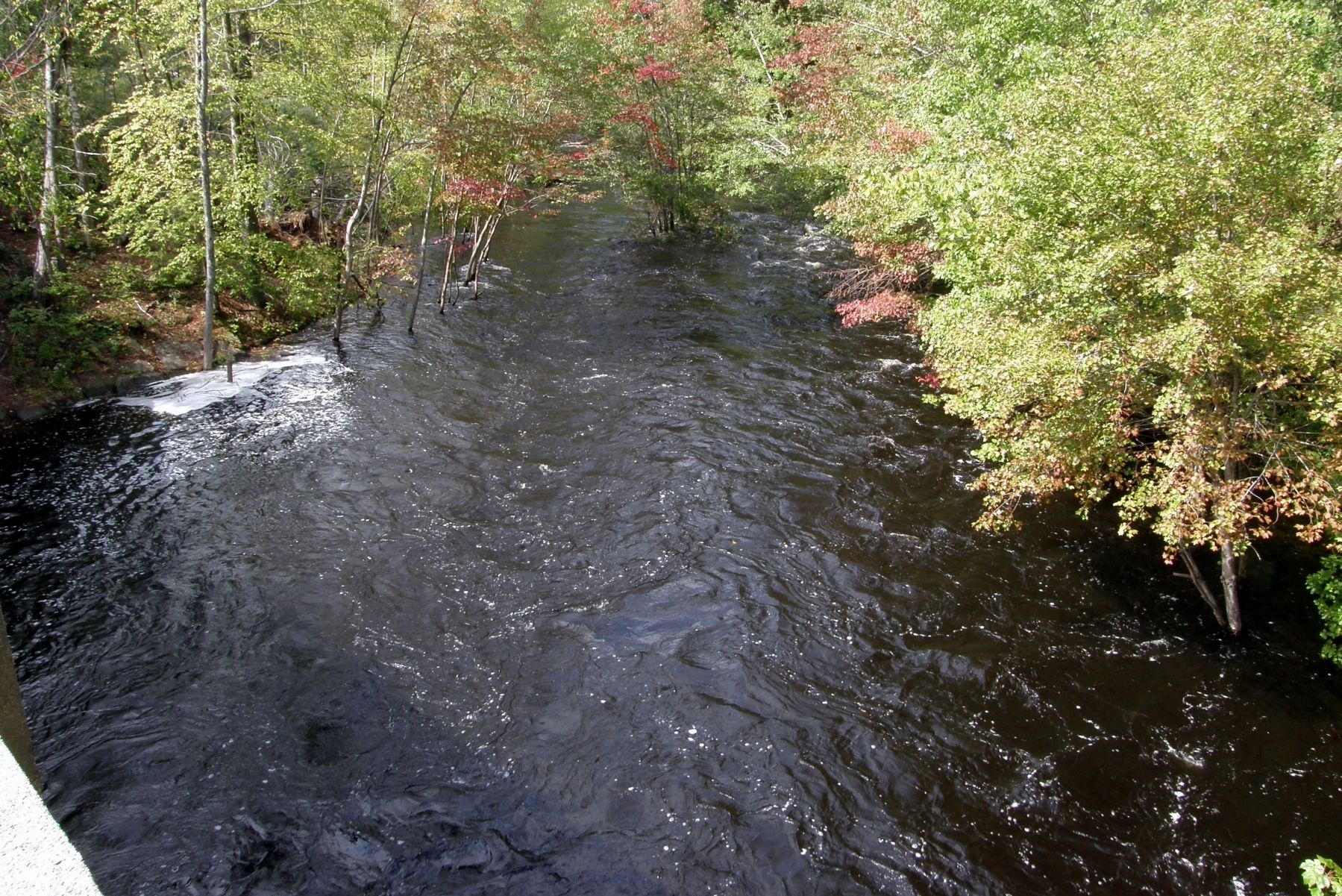 The river below. Click for full size. The river below image. Click for full size.