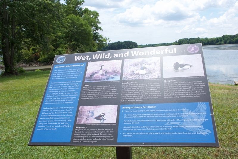 Wet, Wild, and Wonderful Marker. Click for full size. Wet, Wild, and Wonderful Marker image. Click for full size.