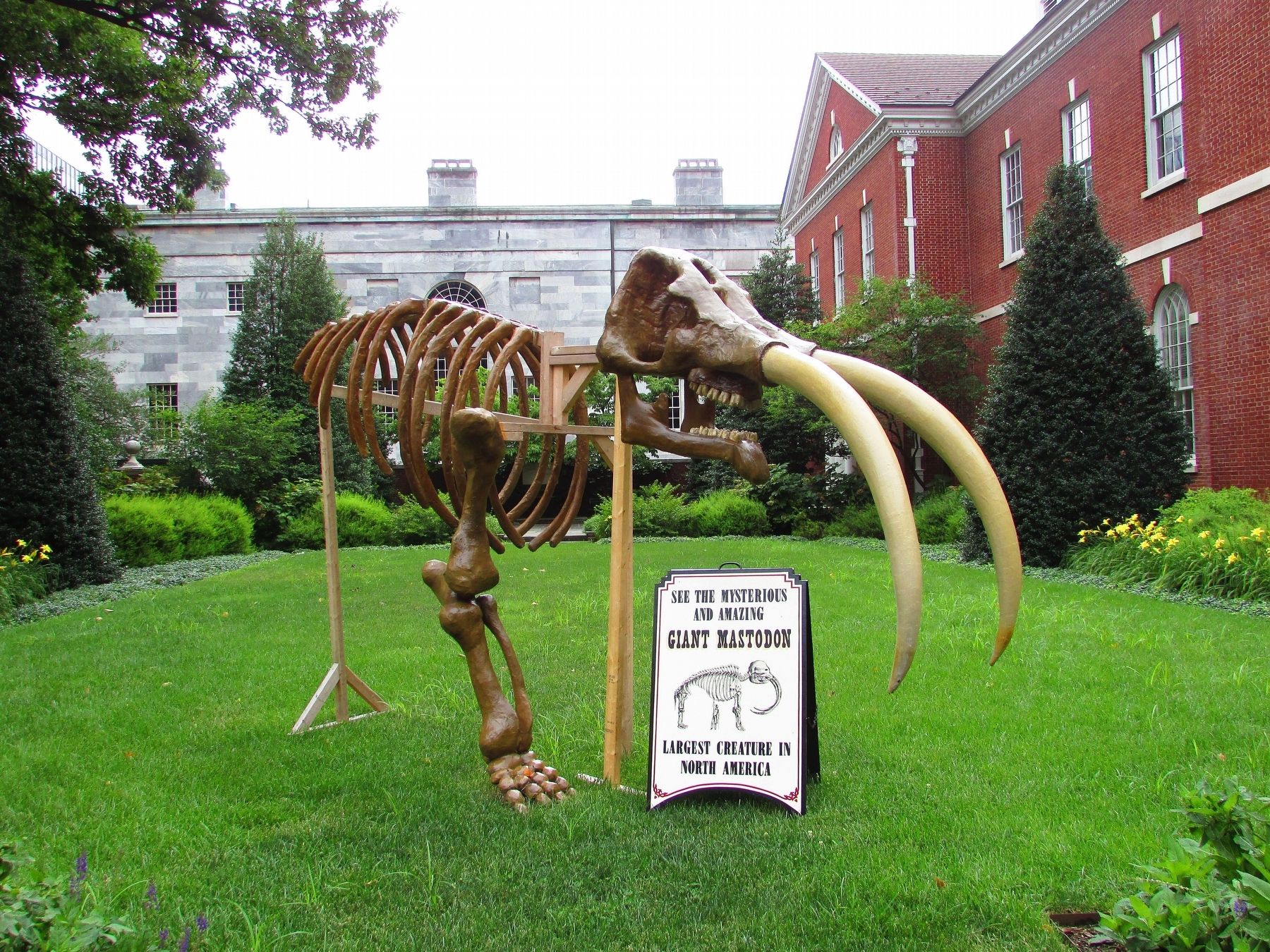 Reproduction of Peale’s Mastodon. Click for full size. Reproduction of Peale’s Mastodon image. Click for full size.