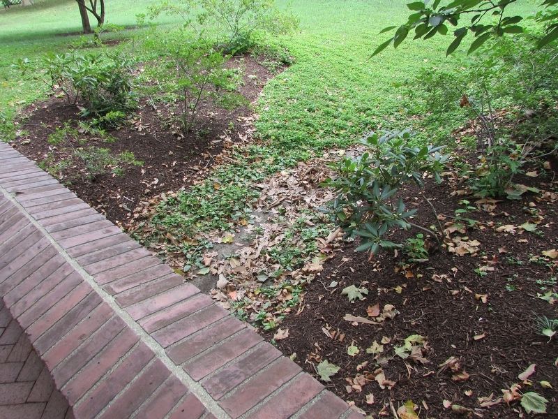 Dock Creek Trace image. Click for full size.