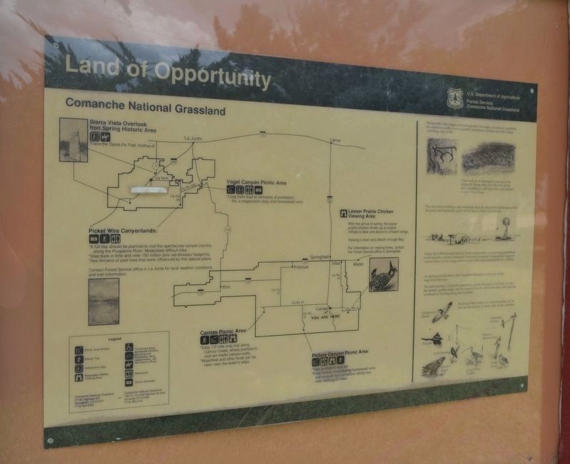 Land of Opportunity image. Click for full size.