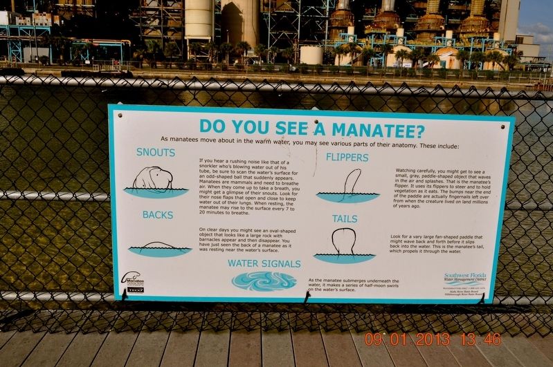 Do You See a Manatee? Marker image. Click for full size.