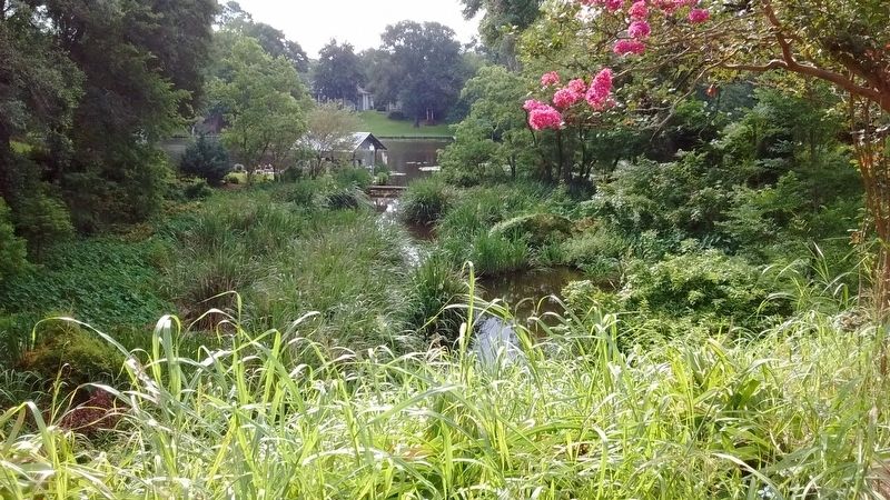 Bayou Amulet - West of Jefferson Street image. Click for full size.