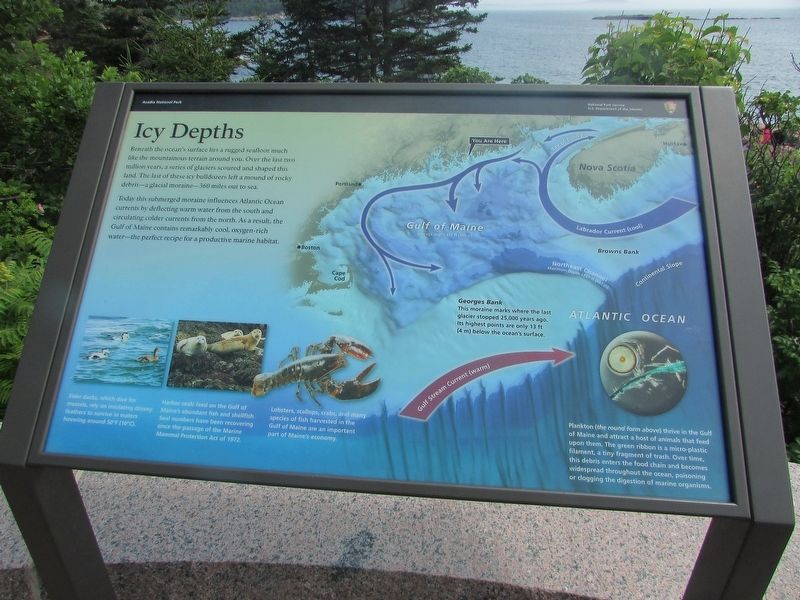 Icy Depths Marker. Click for full size. Icy Depths Marker image. Click for full size.