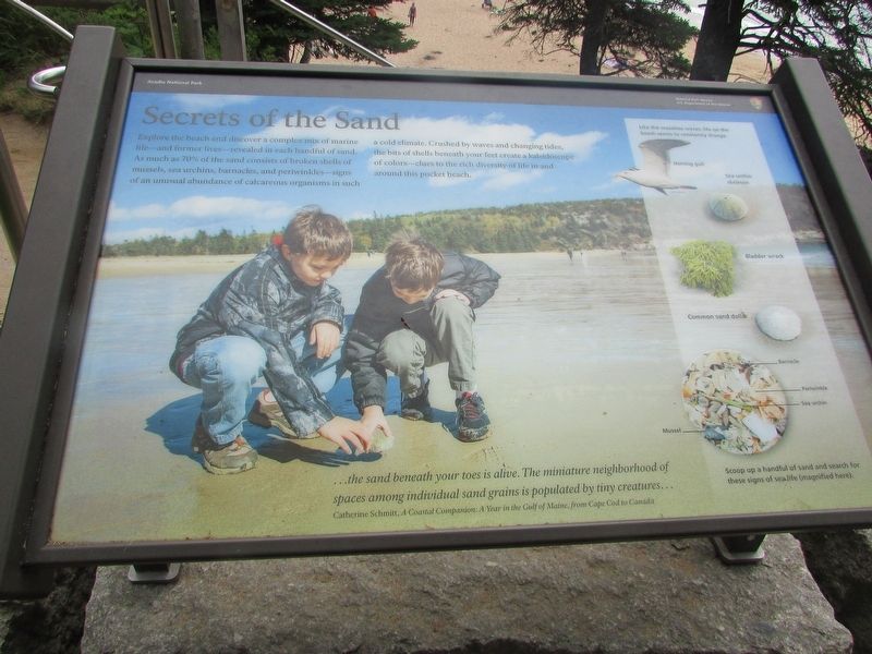 Secrets of the Sand Marker. Click for full size. Secrets of the Sand Marker image. Click for full size.