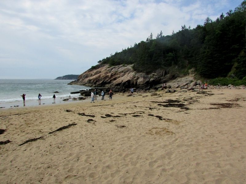 Sand Beach in Acadia National Park image. Click for full size.