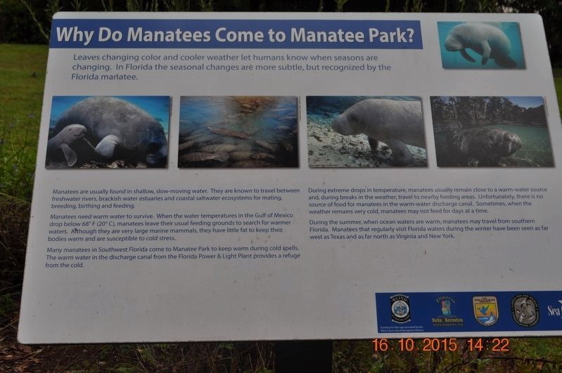 Why do Manatees Come to Manatee Park? Marker image. Click for full size.