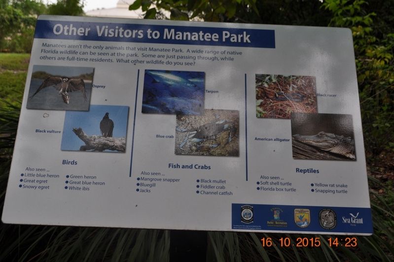Other Visitors to Manatee Park Marker. Click for full size. Other Visitors to Manatee Park Marker image. Click for full size.