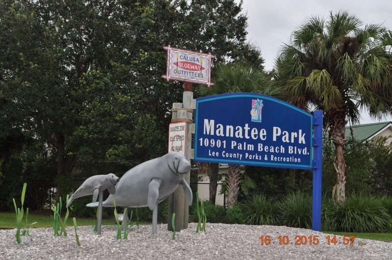Why do Manatees Come to Manatee Park ? Historical Marker