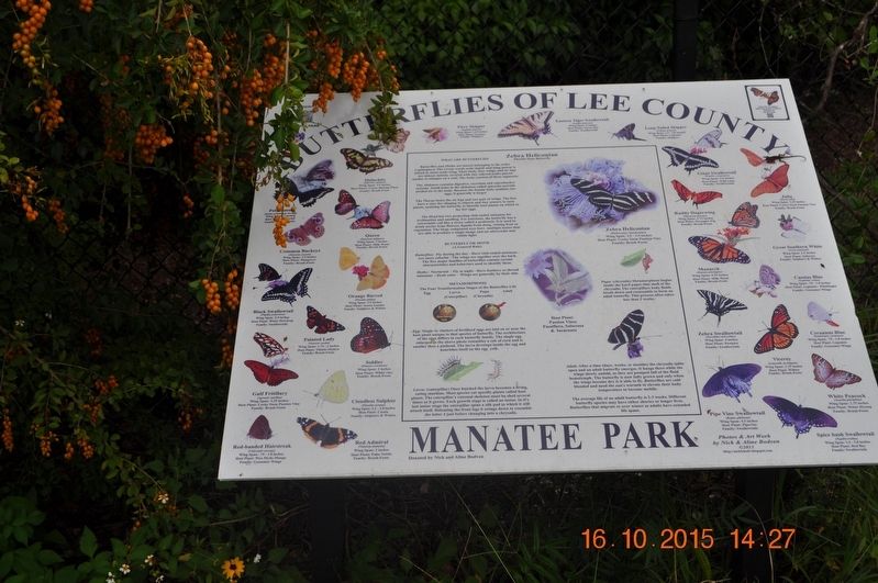 Butterflies of Lee County Marker. Click for full size. Butterflies of Lee County Marker image. Click for full size.