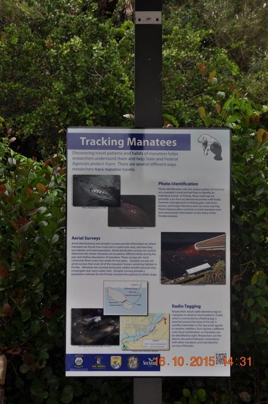 Tracking Manatees Marker image. Click for full size.