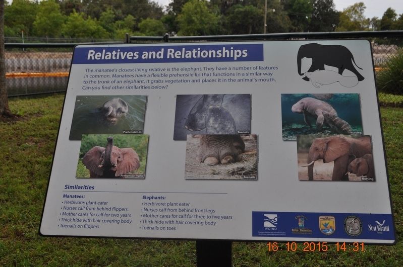 Relatives and Relationships Marker. Click for full size. Relatives and Relationships Marker image. Click for full size.