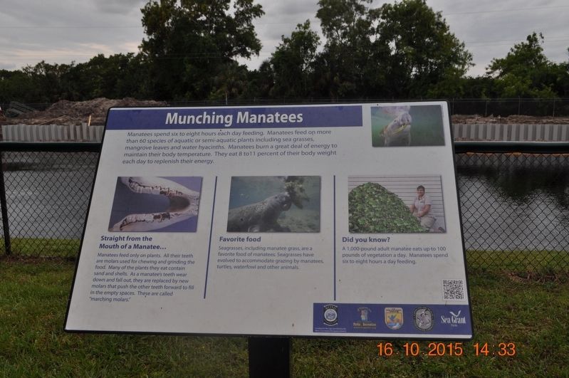 Munching Manatees Marker image. Click for full size.
