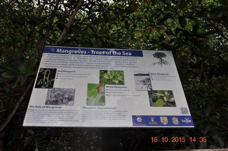 Mangroves - Trees of the Sea Marker image. Click for full size.