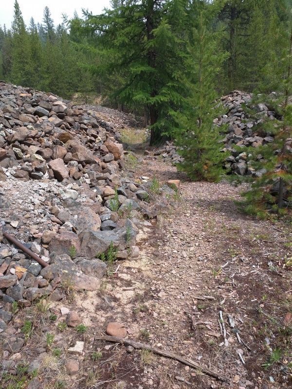 Ah Hee Diggings image. Click for full size.