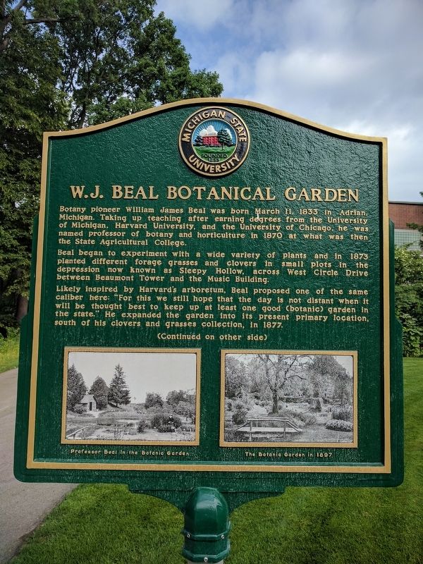 W.J. Beal Botanical Garden Marker - Side 1 image. Click for full size.