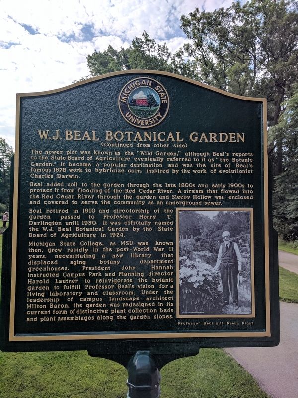 W.J. Beal Botanical Garden Marker - Side 2 image. Click for full size.