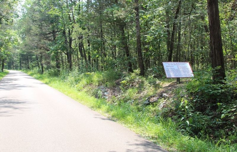 Johnson's Division Marker. Click for full size. Johnson's Division Marker image. Click for full size.