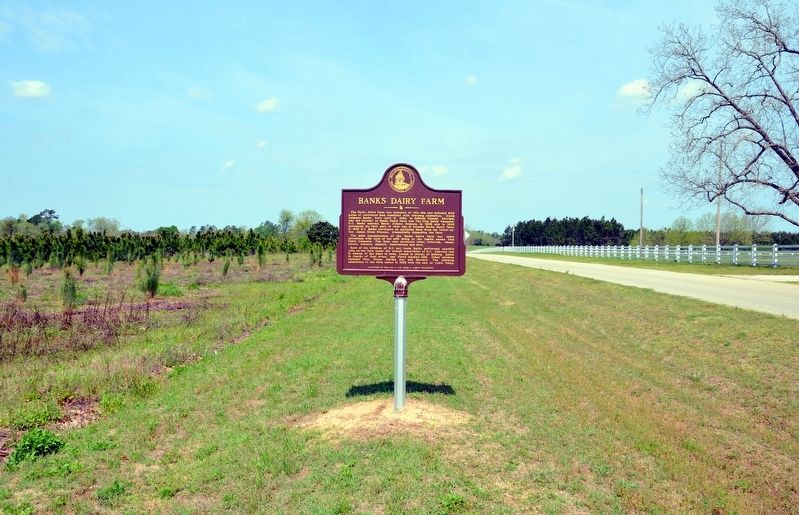 Banks Dairy Farm Marker image. Click for full size.