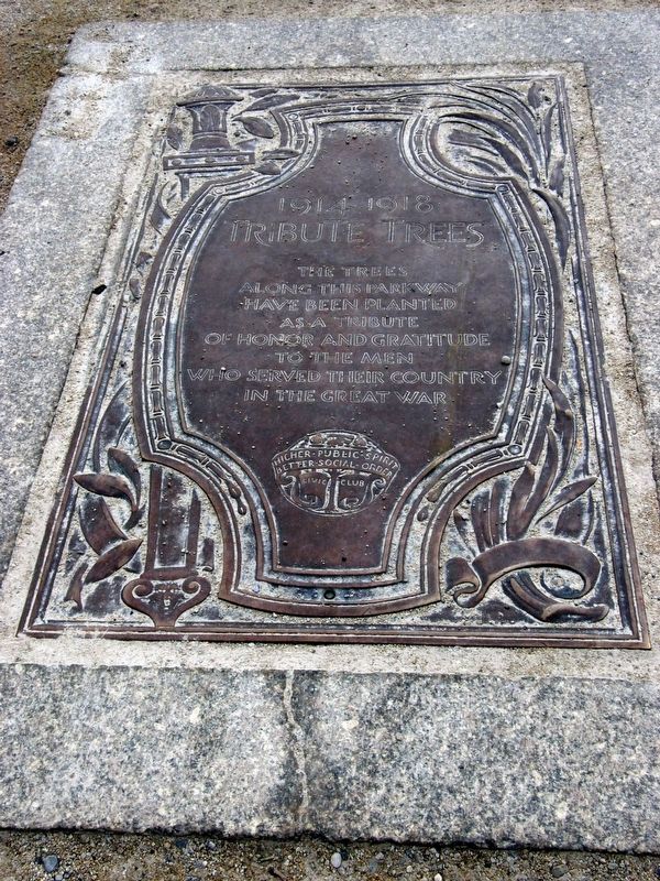 1914-1918 Tribute Trees Marker. Click for full size. 1914-1918 Tribute Trees Marker image. Click for full size.