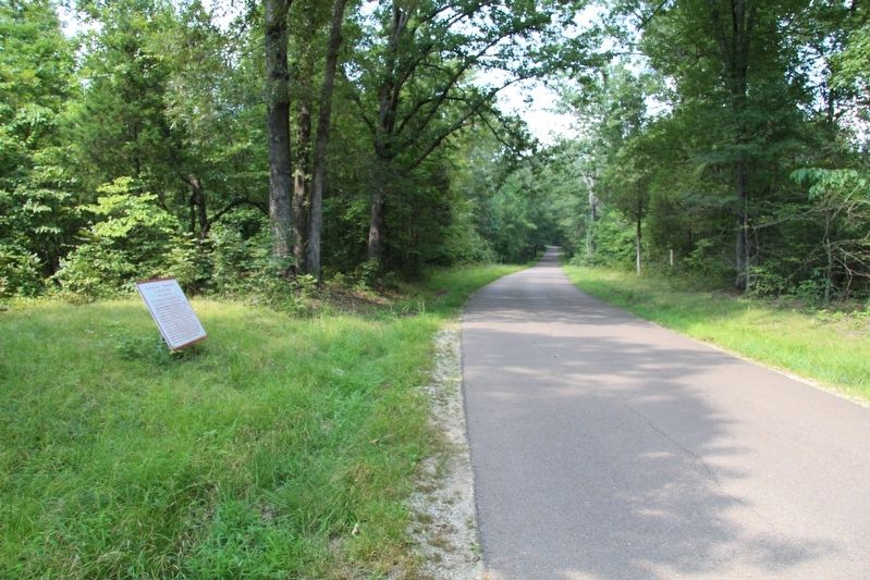 Walker's Division Marker image. Click for full size.